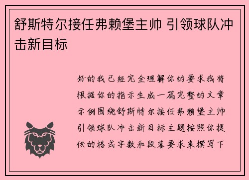 舒斯特尔接任弗赖堡主帅 引领球队冲击新目标